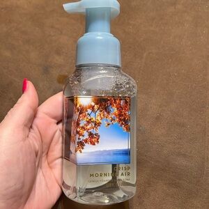 B&BW Crisp Morning Air Gentle Foaming Hand Soap